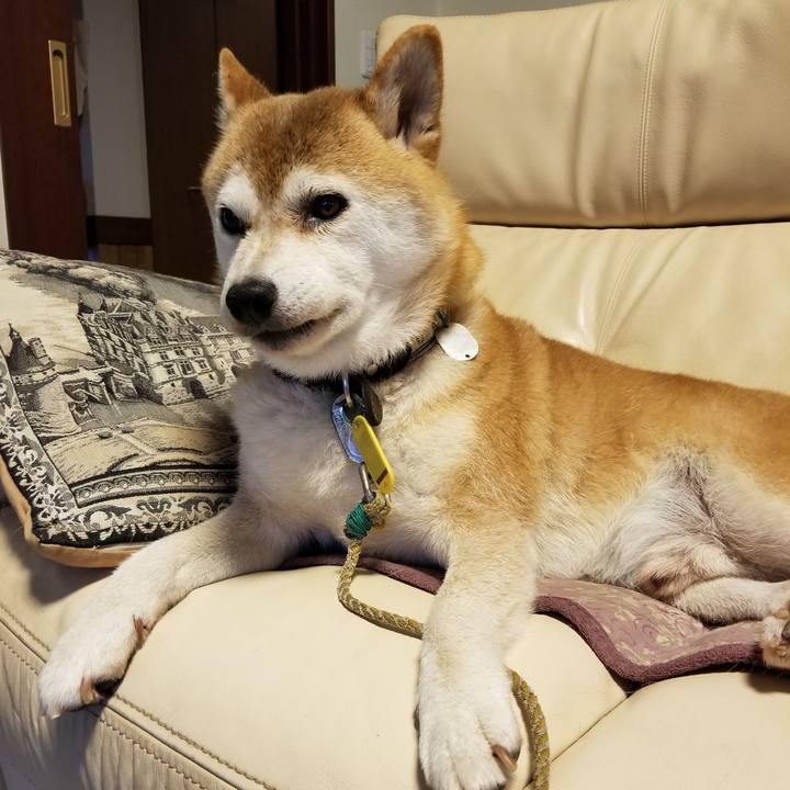 4deb18c4 3077 4b89 a2d4 9c169c63cd0d 1628920508228