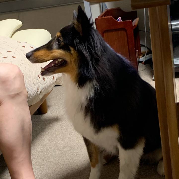 4deb2f37 8eff 4dfc 8dda e88b100905c3 1566252250529