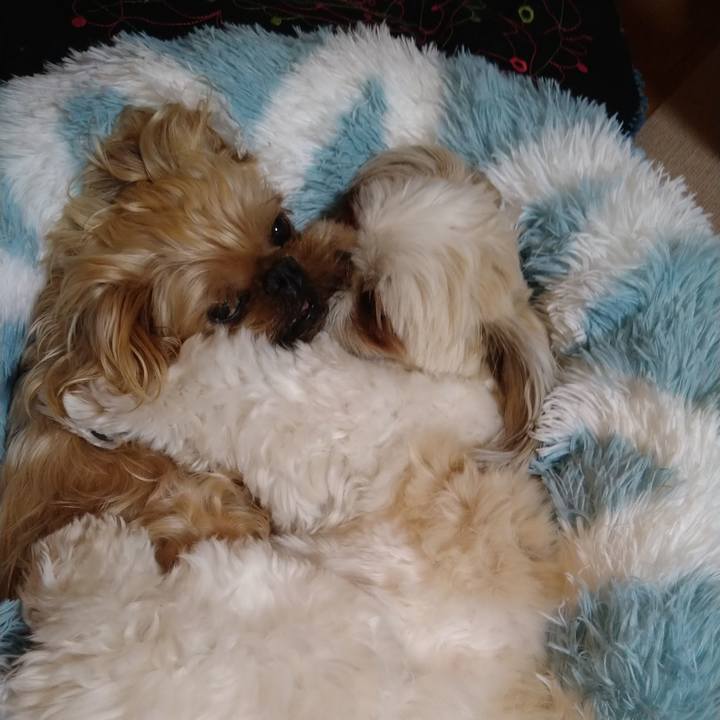 4deb329b 8084 4d54 8a24 9af25a043035 1618043547321