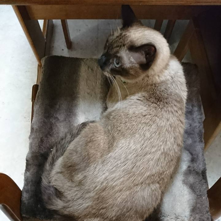 4deb4111 1b72 4892 bd5f fff13f544d7f 1509451347055