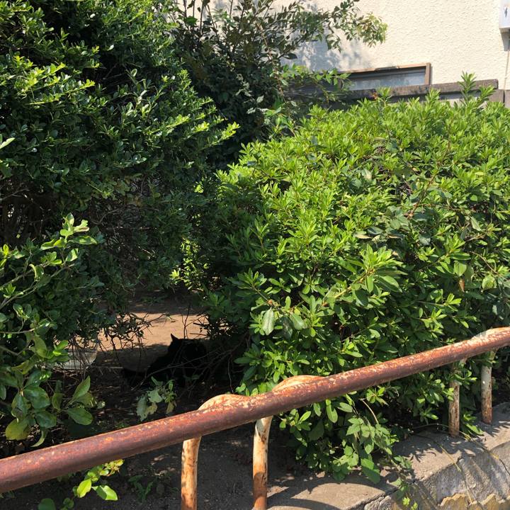 4deb51b5 37ac 4d2c be96 2572fd42a6b0 1570464603259