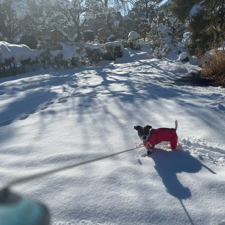 4deb696a 1826 441e 9aa5 911e6acb97fc 1642837054184