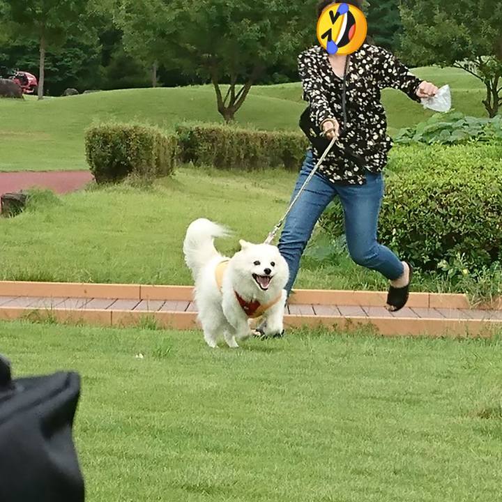 4debe5a1 b02b 44e5 b05b 43b18dfabdfa 1536737101867