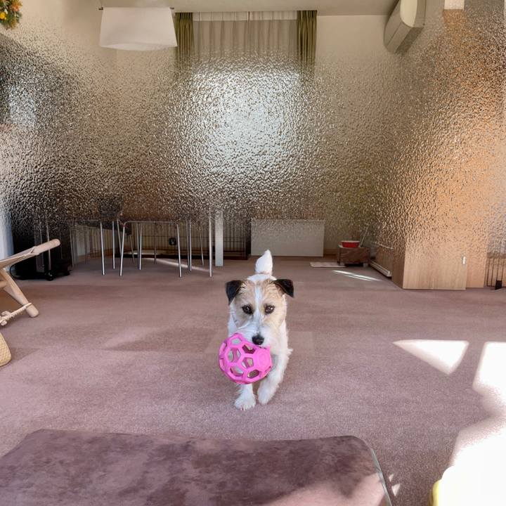 4dec024b 5072 45cb 9d77 0a3b98479cf6 1674882726906