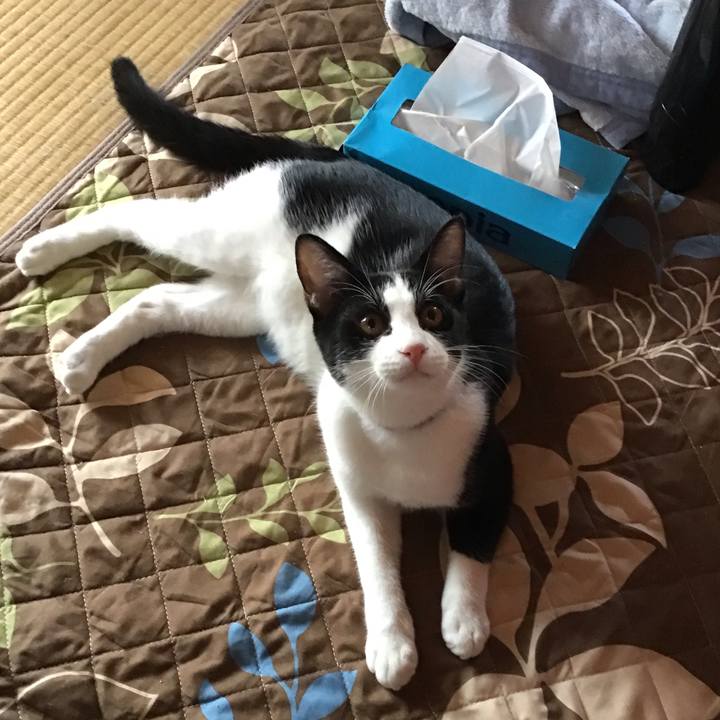 4dec15cc 0e7f 4d50 9ad0 c831c8443e93 1633671672400