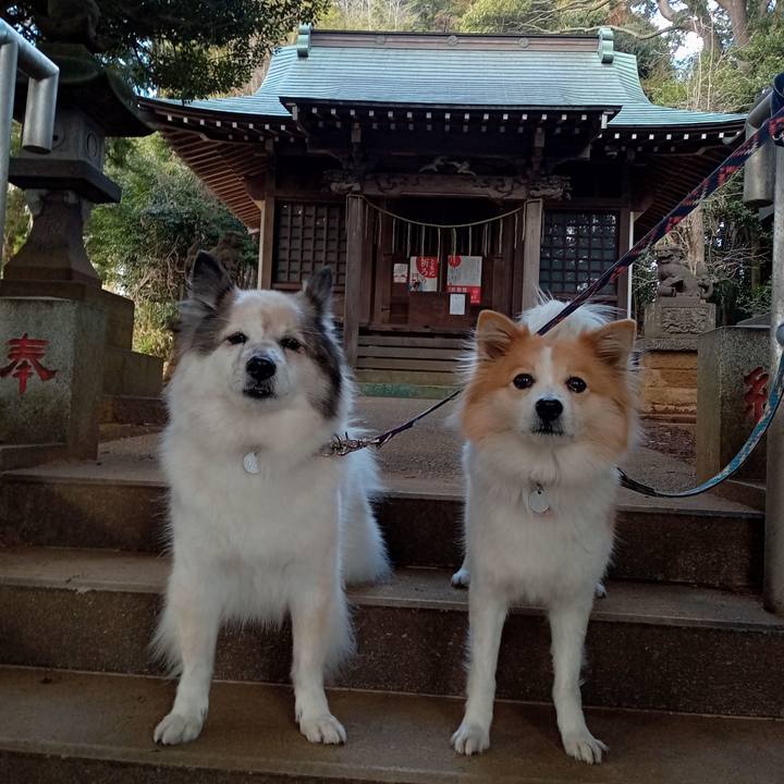 4dec3baa 9389 4ba6 a250 e48e4af9d931 1641811326360