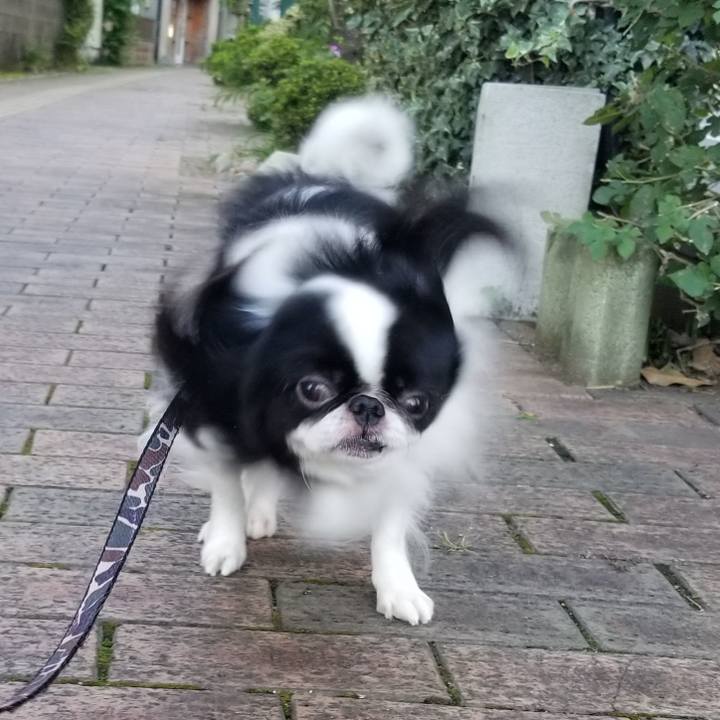 4dec6836 df73 4a00 ac7d 267744472c92 1665202886435