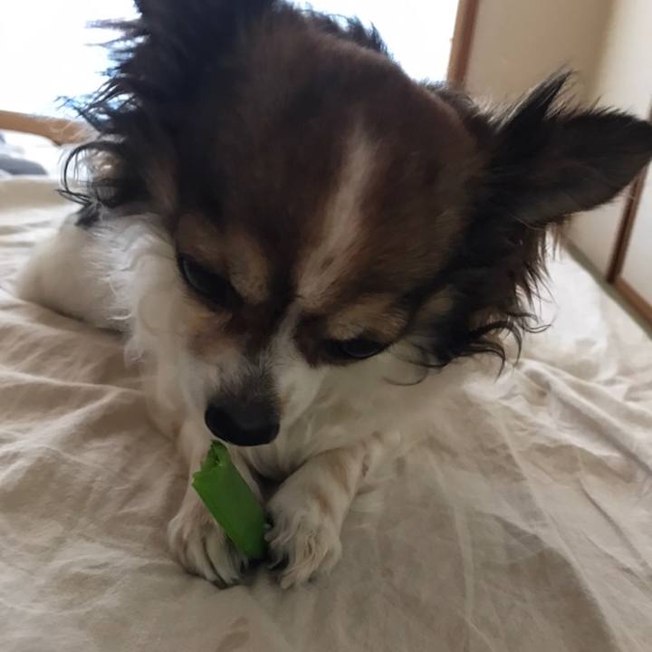 4dec7b09 f151 49c5 a98c 753ad1f9f0c9 1558732753510