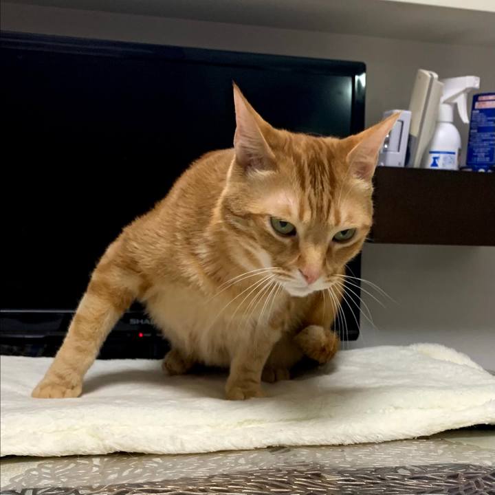 4dec8bb5 e98d 4445 b170 4fcc1e3914d7 1624228766568