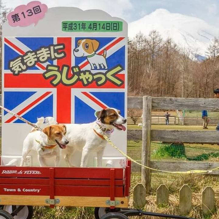 4decabff 9577 42ba befa 69fe3c22805e 1555541218346