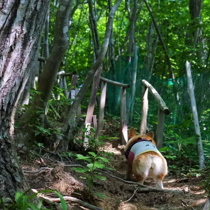 4decbcfa 9a7d 4917 b975 ab73b01fc511 1624015810647