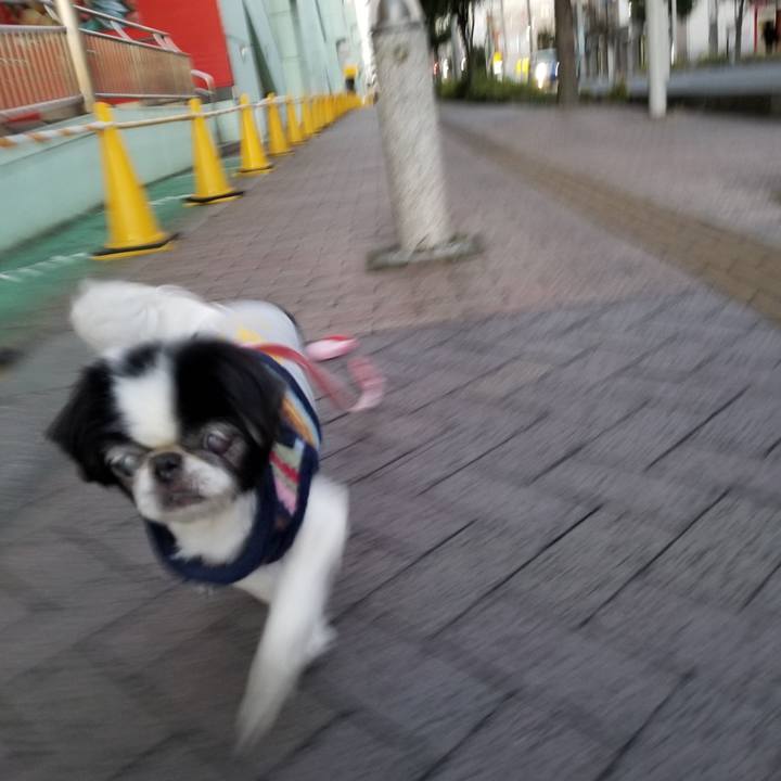 4ded0185 270f 41bb b180 a932ec2ae92c 1604960587662