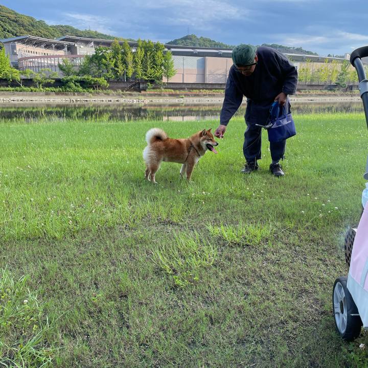 4ded033d b0e1 4d94 8d7e 199c7fe242a9 1658067433599