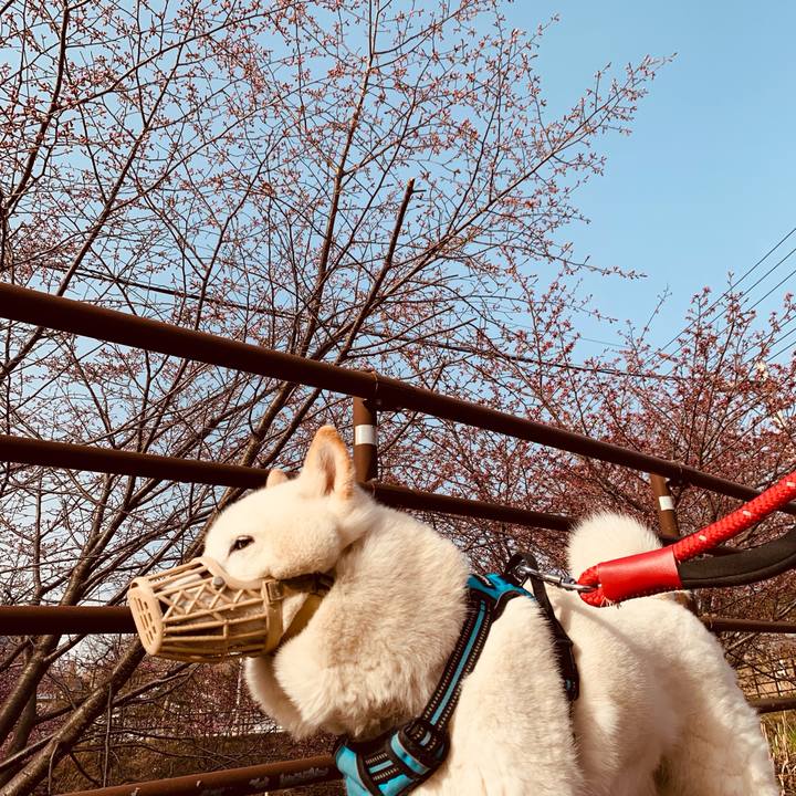 4ded2d39 23ea 46cd 8931 da848a52cc24 1682029993489