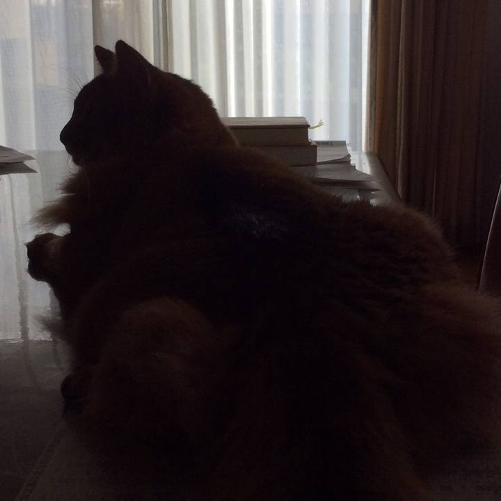 4ded369b 1449 4eb4 9c65 d9b9f86820ec 1601876029945