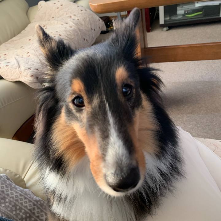 4ded5e47 0471 4365 95d4 1e52a3494ea0 1577228140318