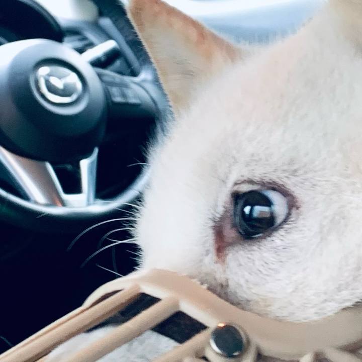 4ded92c8 6b87 4ef5 a7a8 cd5a9c59d3ce 1653785521876