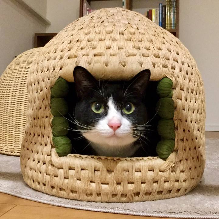 4dedb261 f9eb 493a 8ba5 a78aa03ff01b 1544963940407