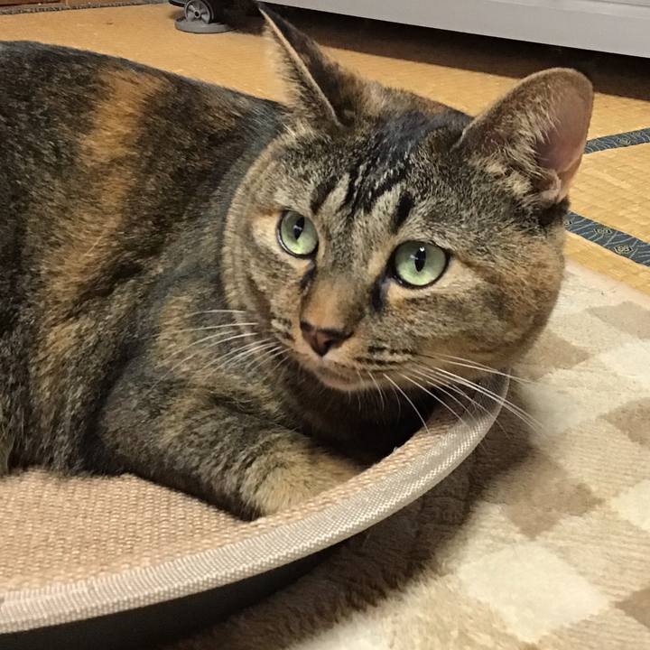 4dedef64 33ba 4049 b52d 667c0251c32d 1729994434427