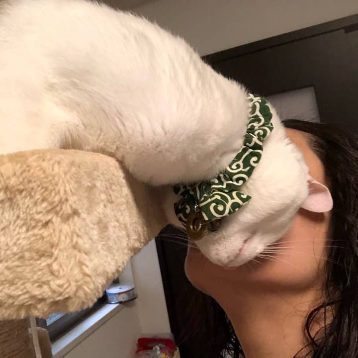 4dedfaca 1853 44ed 8ebc 6857ac4aa58f 1529548677084