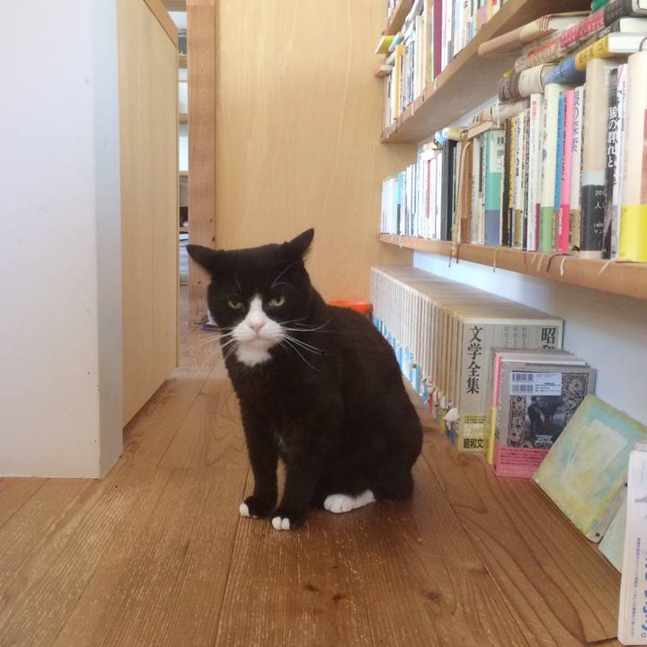 4dee068f 1b55 4817 a091 7d983ab13808 1590667289865