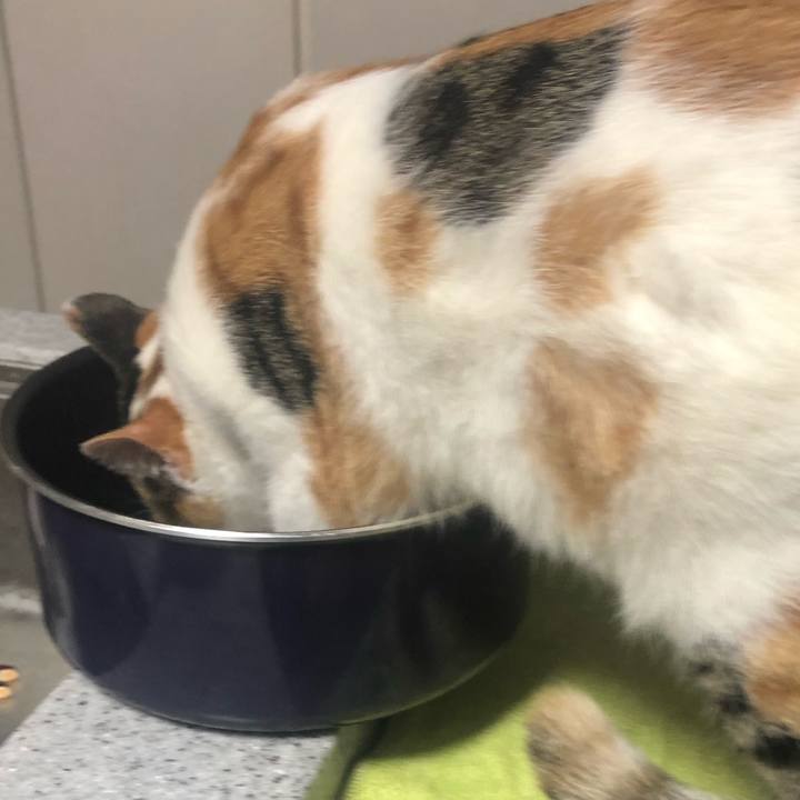 4dee3b5f 663d 4c04 b7c8 6e588fb09686 1576640063666