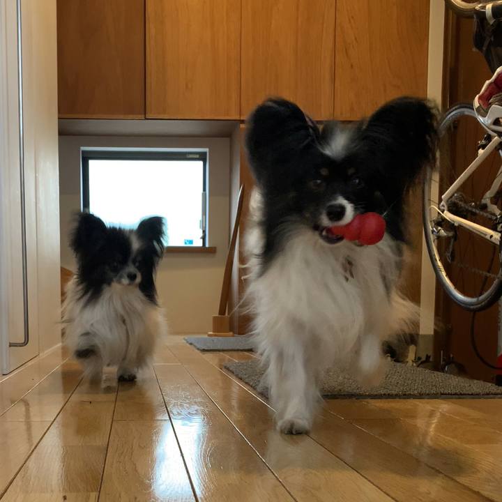 4dee67d9 4a44 410c b58b ec963ed0ed0c 1619091876468