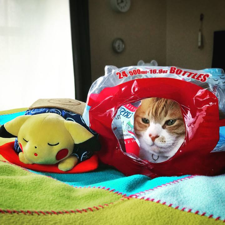 4dee9b83 229b 4253 b127 22e00f070e9c 1551615453441