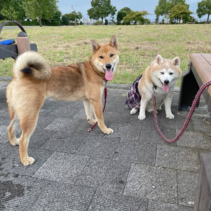 4deea85a 4bc5 4608 a100 3356d1cab4ed 1667708990044