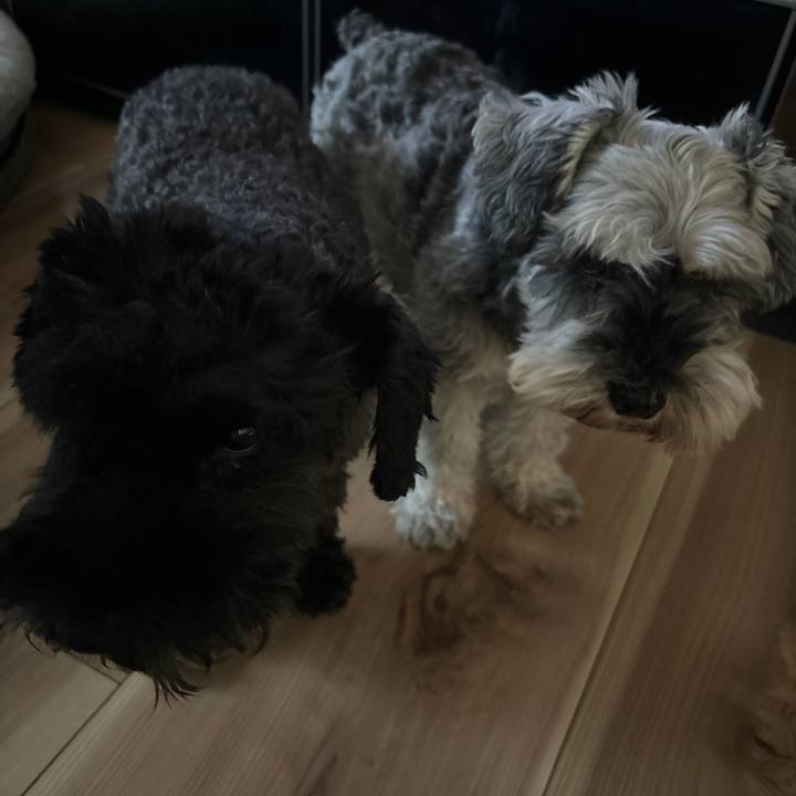 4deee783 6c59 48bb acb6 23d11b478acd 1697261661150