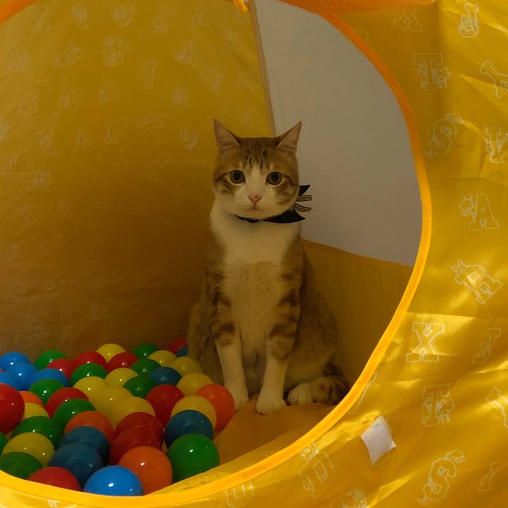 4deeecbe faad 4d6d 8ba3 c3c6fd1db7d7 1535381499885