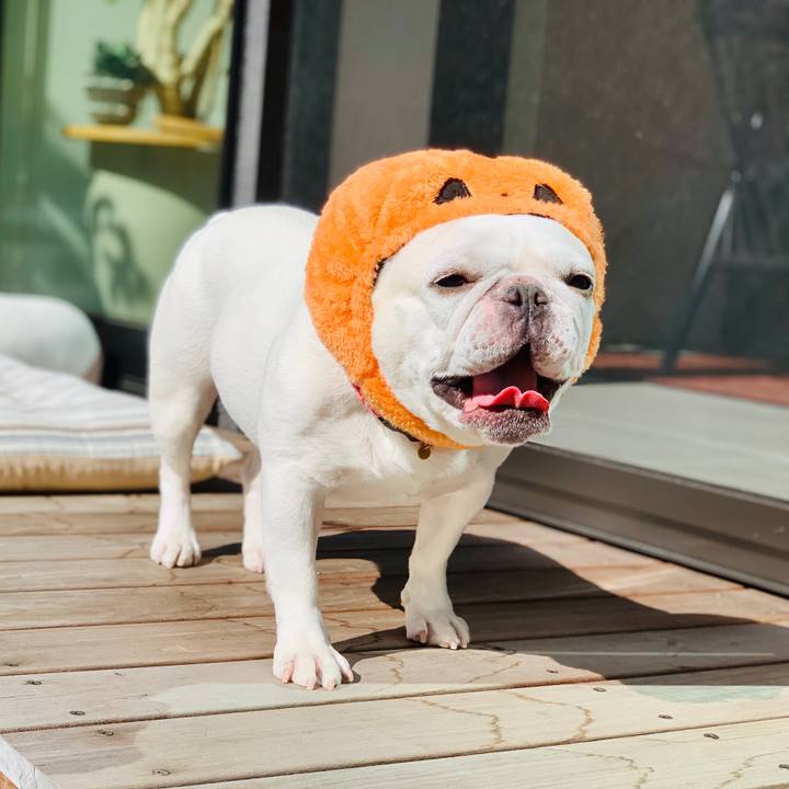 4def0f91 2ef6 44b6 977d 5871373752ca 1604118423908