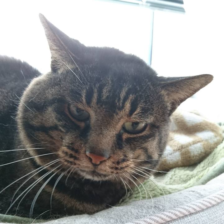 4def1dc3 3fe2 472b 92a9 75ff3da8d193 1542628039996