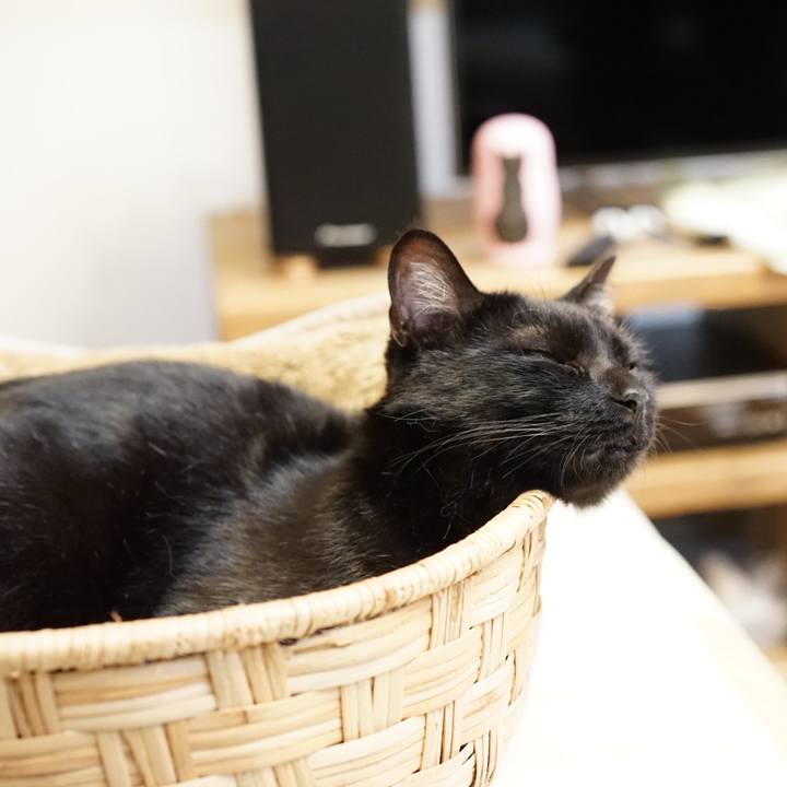 4def2a70 1c17 4478 9062 80d233aa166d 1557930785885