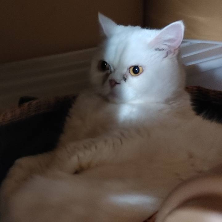 4def554e 40b5 435f ba94 f0e790e093a2 1697634104416