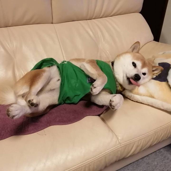 4def6c7a 00b3 40d0 b520 b10722f709b5 1584968503663