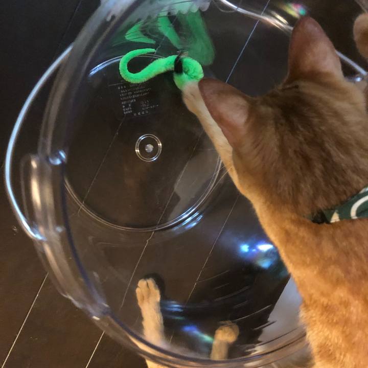 4def782e 6ae5 43aa 829b cecf4e55f01d 1633819549426