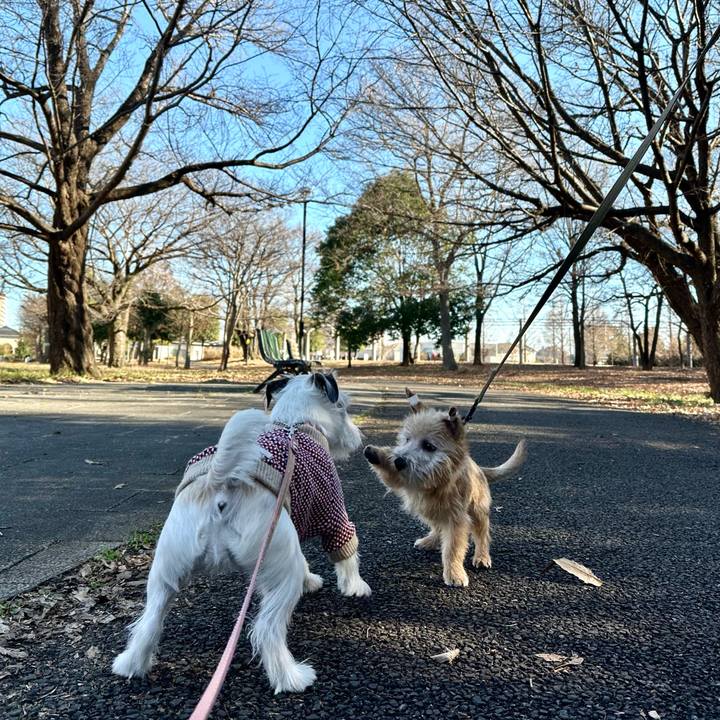 4defb5a5 850a 4116 a99d ae459419d69f 1705240334396