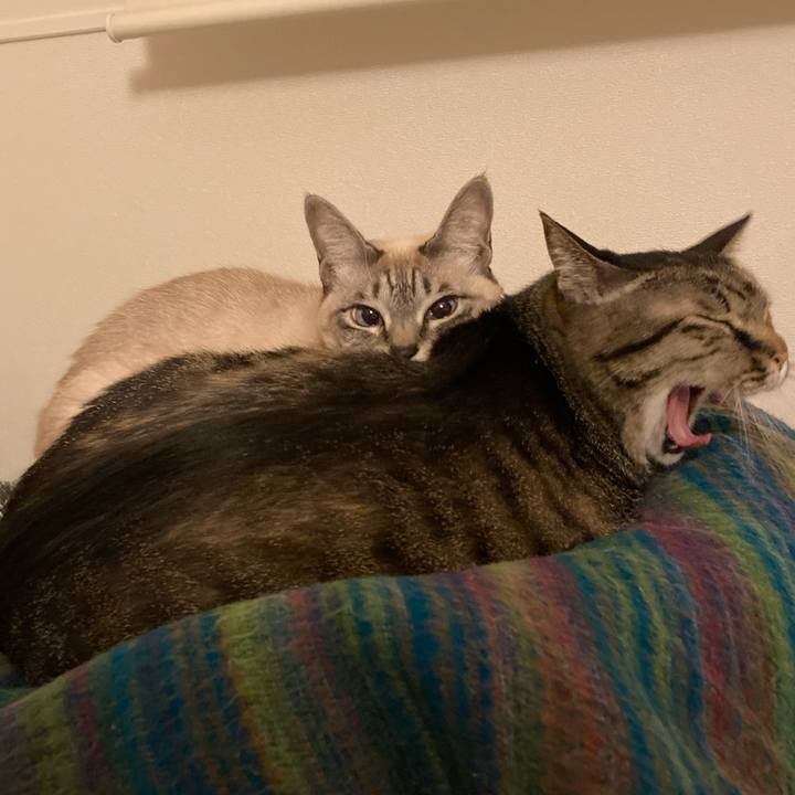 4defcacf 310e 4847 af0e 4e18b8552c3d 1706095110837