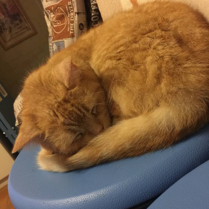 4defd350 506f 4cfb 8200 b6ea6b08dadb 1561908521143