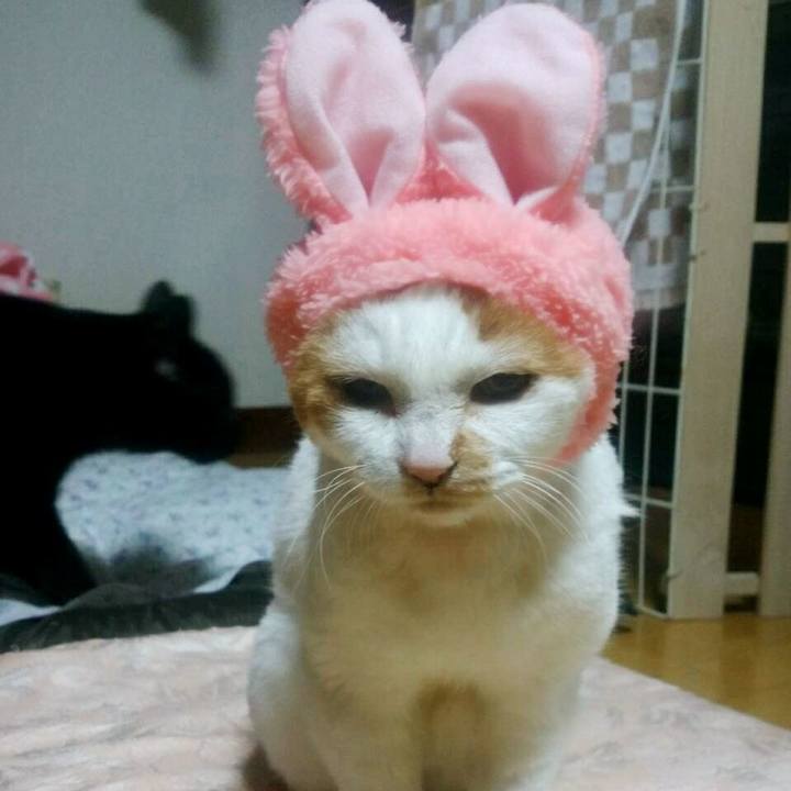 4defd383 9b96 4373 8835 1014a3dbe02e 1539993296480