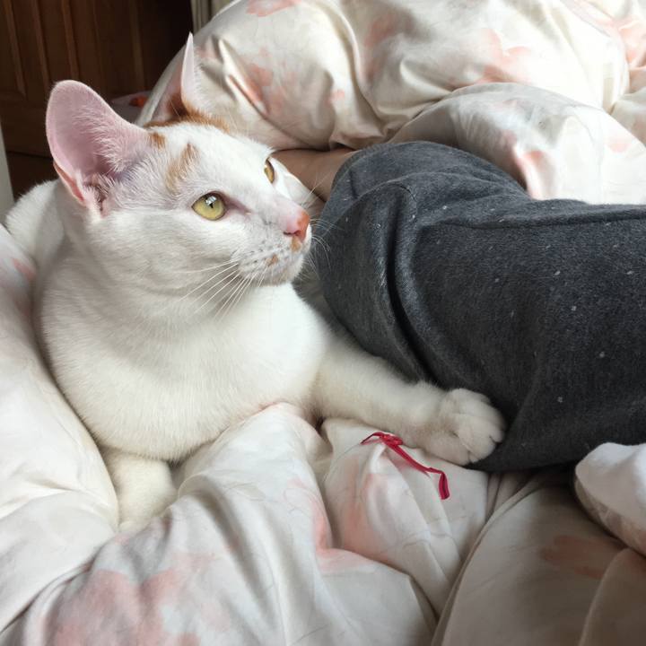 4df0095d ed4c 4606 82a7 2cd1185ca6d3 1522537236156