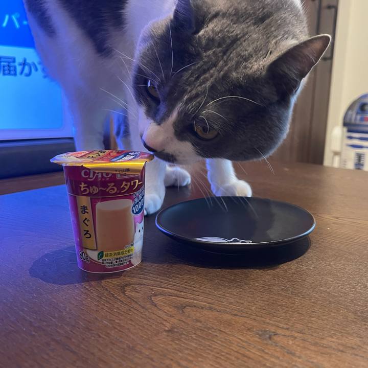 4df02204 d24a 4bde acac 386f49921496 1671606270493