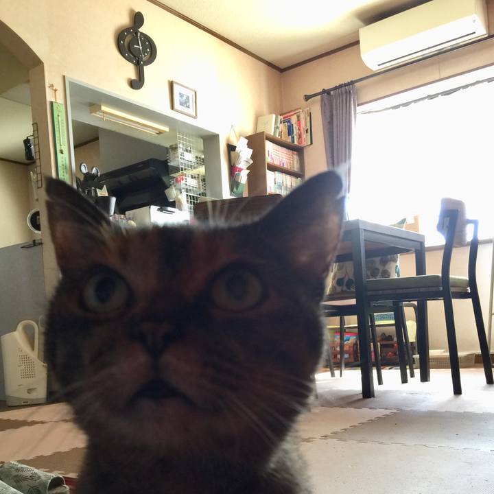 4df02607 388e 447e ad1c e6088f2c2059 1569974882131