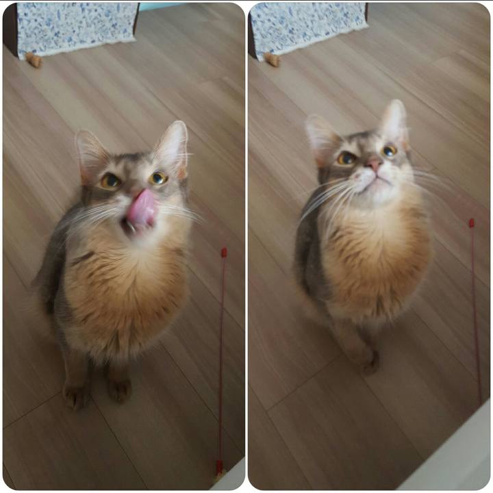 4df031de d235 4ff6 b374 52a26db0eb12 1531991017429