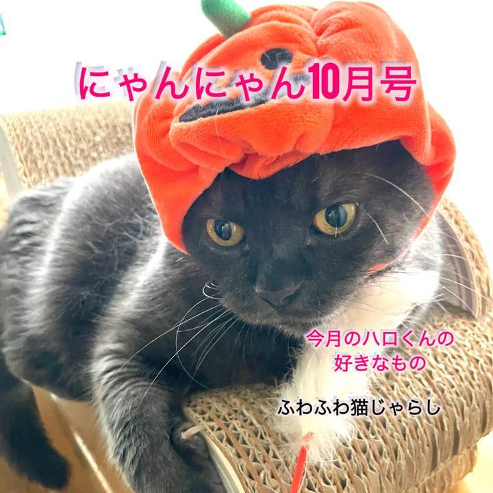 4df05971 10ea 46cd aadb d3aeceeb50e2 1759293923673