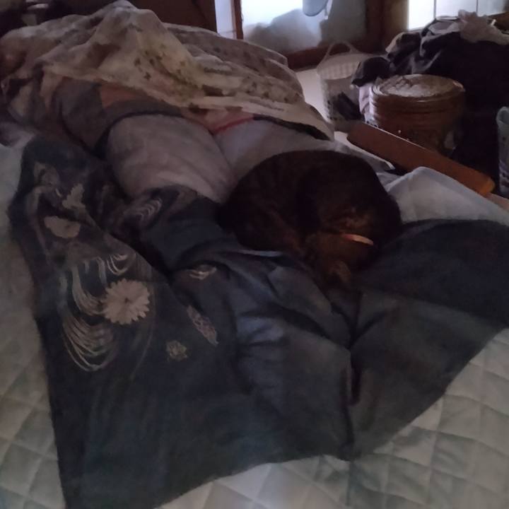 4df09fcf cd2c 428e a089 8897688a153c 1717020534534