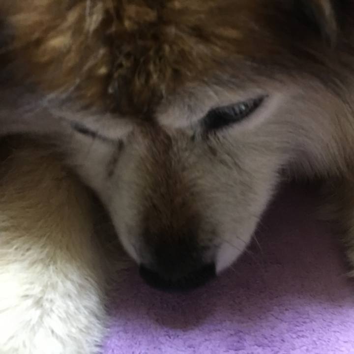 4df0da5d 2c53 41d1 beac 368d84f7abd1 1587711853264