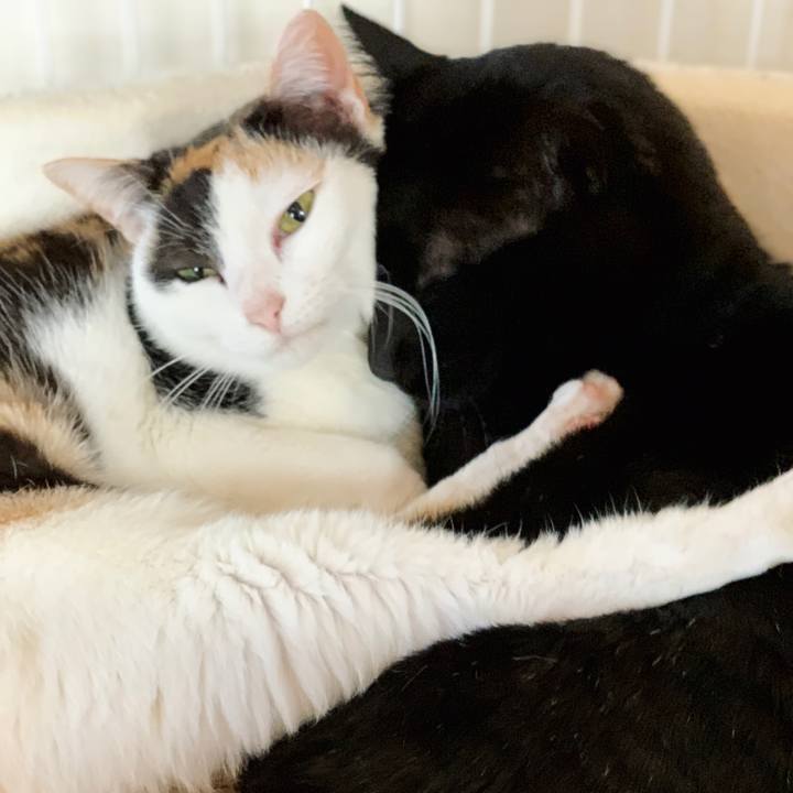 4df0dd64 4d4a 49d0 9a08 f4378236eaeb 1550111773759