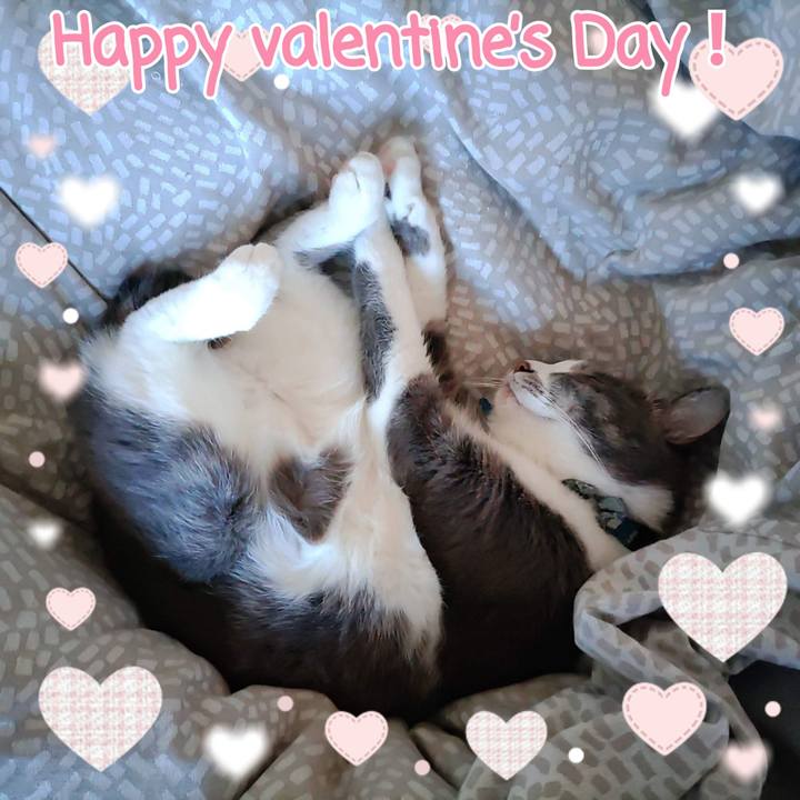 4df0e120 aefd 4789 9829 861521930fe8 1707913107166